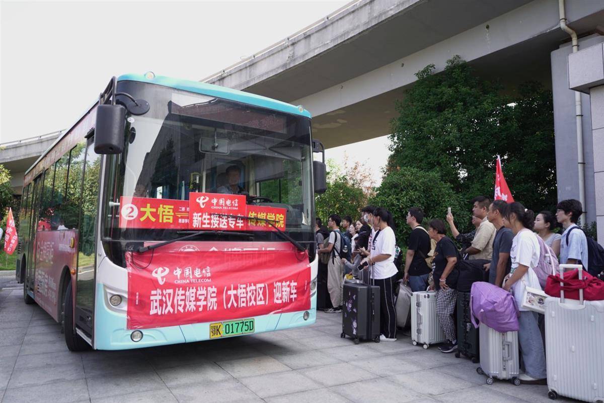 澳洲巴黎人下载